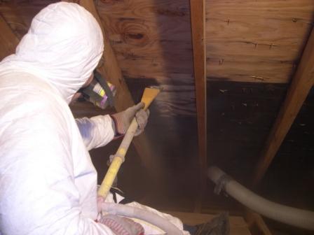 Mold remediation