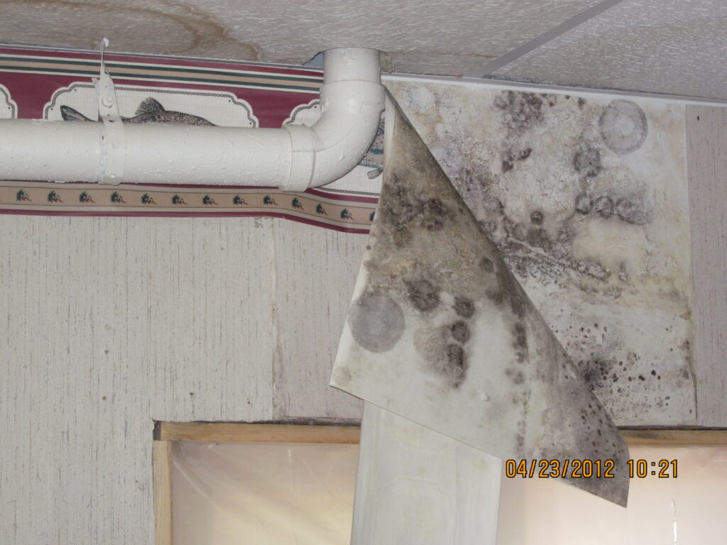 Mold-covered drywall peeling in a water-damaged basement