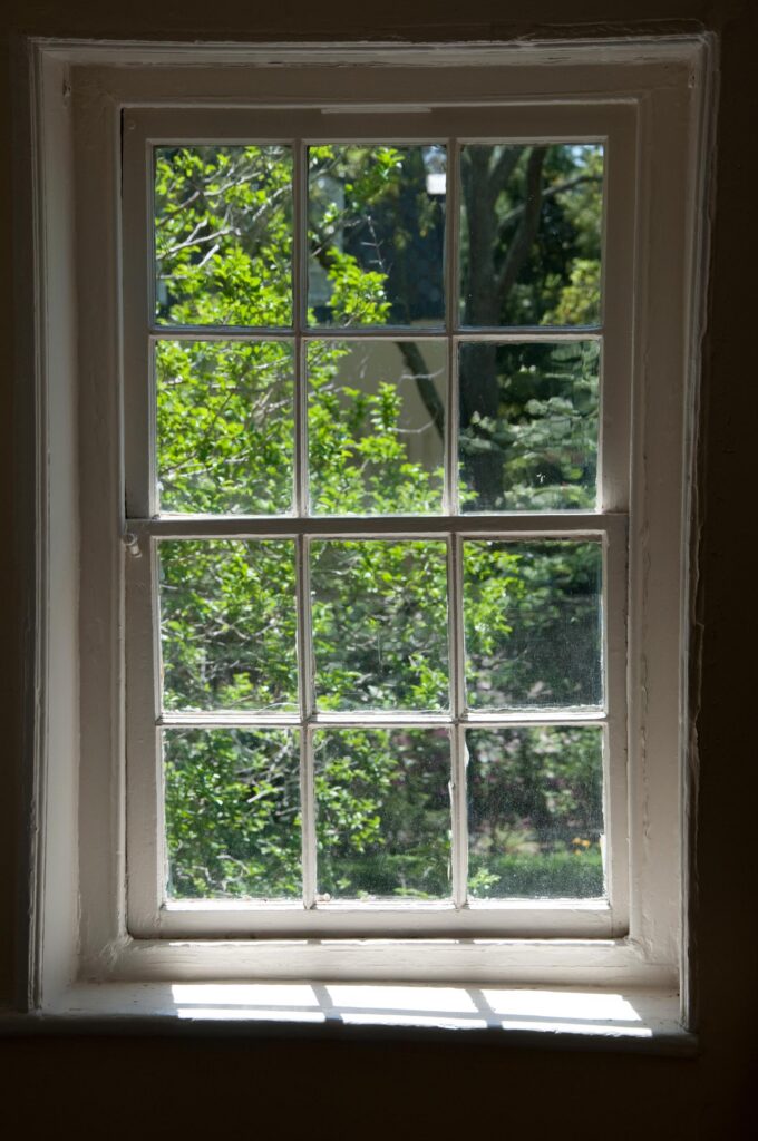 Window with white trim looking out onto green trees