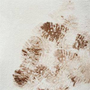 Brown mold spots on a white wall