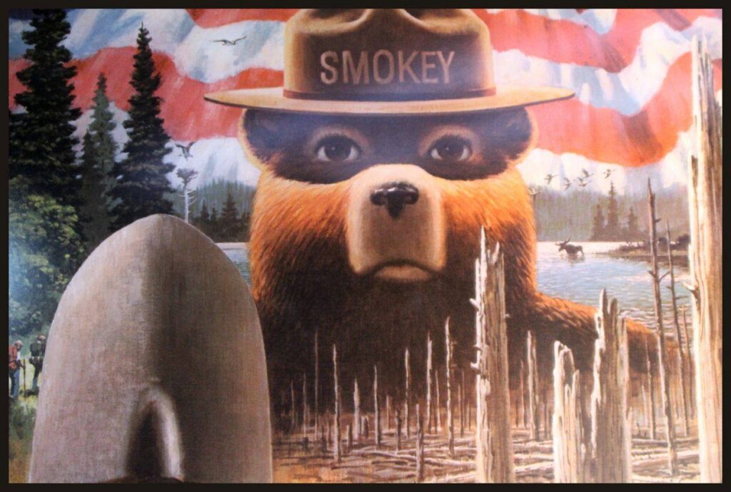 Smokey the Bear: "Only you can prevent wildfires!"