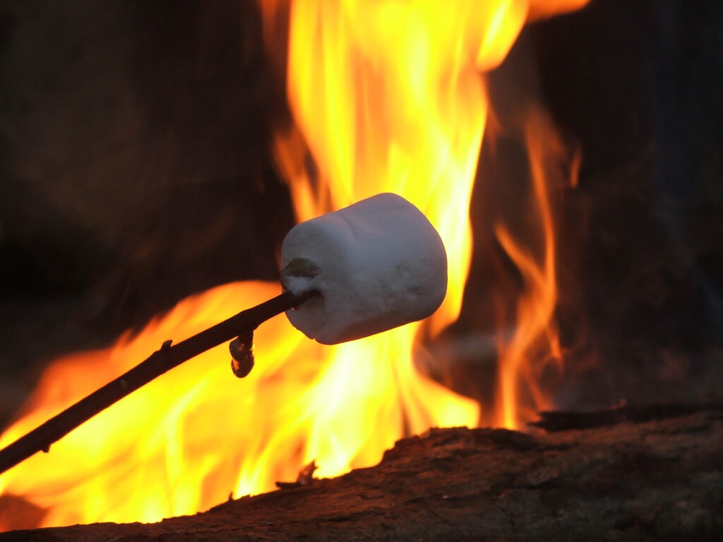 Smores on a bonfire.
