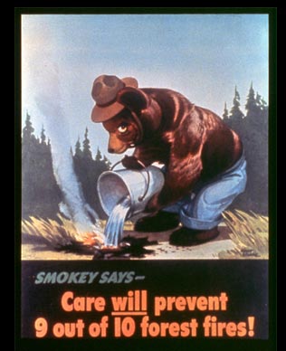 Smokey Bear fire prevention poster: Care will prevent 9 out of 10 forest fires