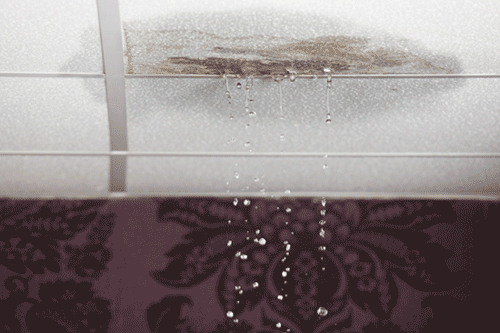Roof Leaking