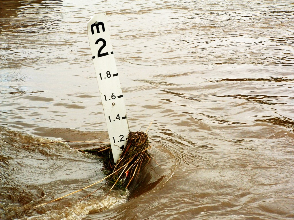 RMCatFlashFlood