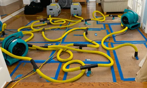 Air movers and dehumidifier drying a water-damaged floor